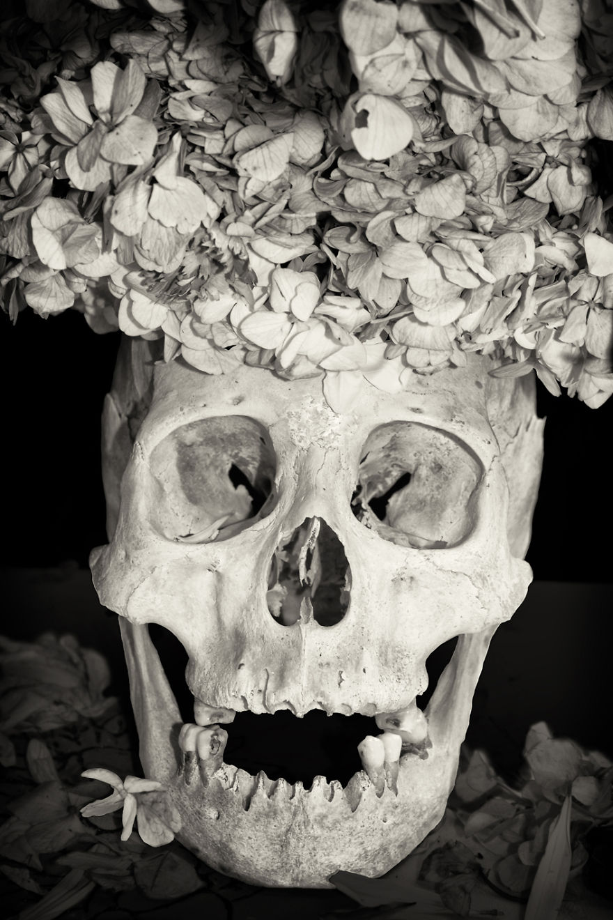Human Skulls Portrayed In The General Cemetery Of The City Of La Paz, Bolivia Human Skulls Portrayed In The General Cemetery Of The City Of La Paz, Bolivia
