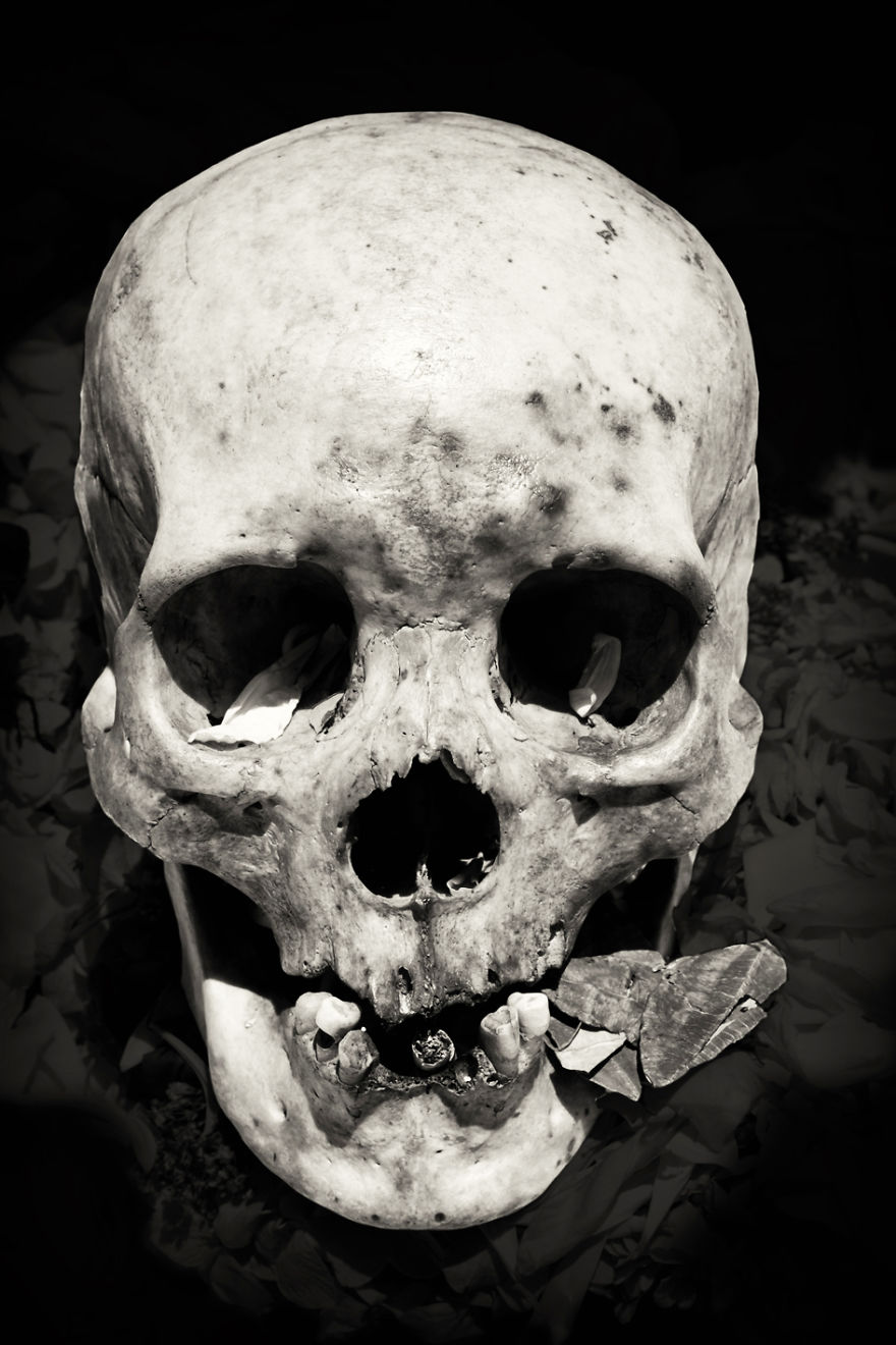 Human Skulls Portrayed In The General Cemetery Of The City Of La Paz, Bolivia Human Skulls Portrayed In The General Cemetery Of The City Of La Paz, Bolivia
