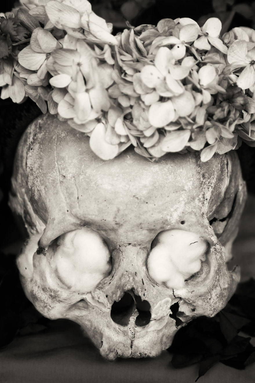 Human Skulls Portrayed In The General Cemetery Of The City Of La Paz, Bolivia Human Skulls Portrayed In The General Cemetery Of The City Of La Paz, Bolivia