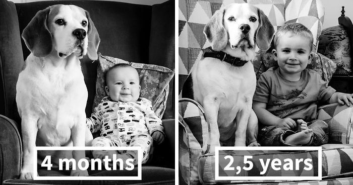 I’ve Taken A Picture Of My Son And Beagle Every Month For The Last Three Years In The Same Chair