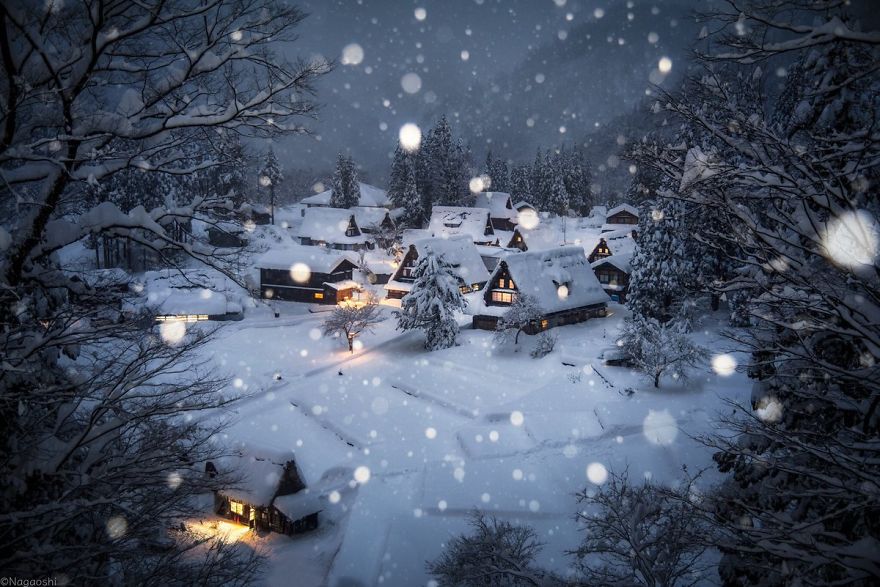 Japan Winter