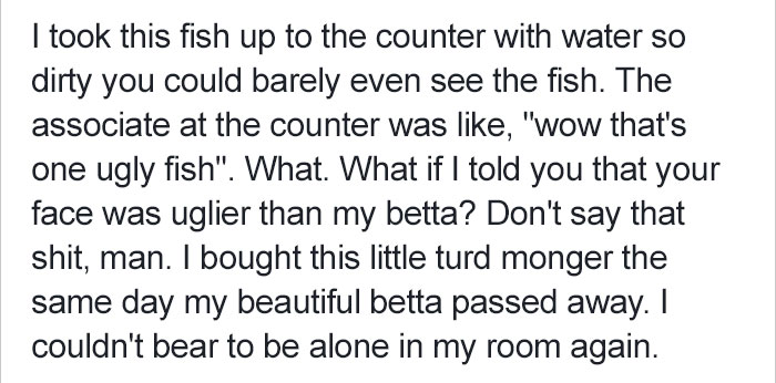 betta-fish-story-petsmart-11 betta-fish-story-petsmart-11