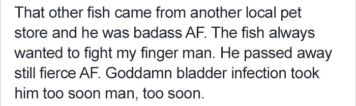 betta-fish-story-petsmart-12 betta-fish-story-petsmart-12