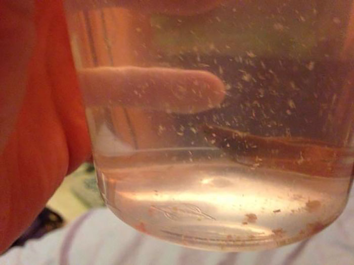 betta-fish-story-petsmart (9) betta-fish-story-petsmart (9)