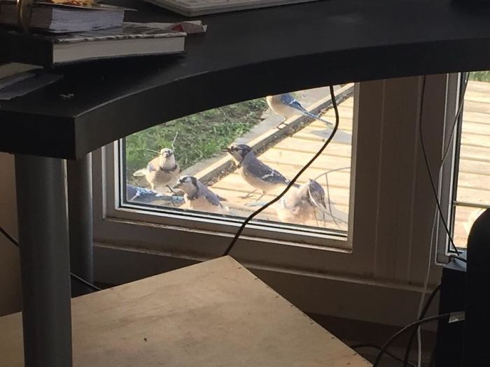 Apparently This Is Good Luck?