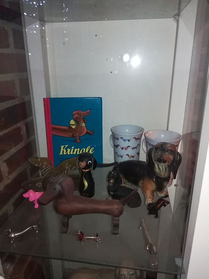 I Collect Dachshund Stuff.... I Even Have Tree Living Ones