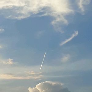 iaminikalingg09 avatar