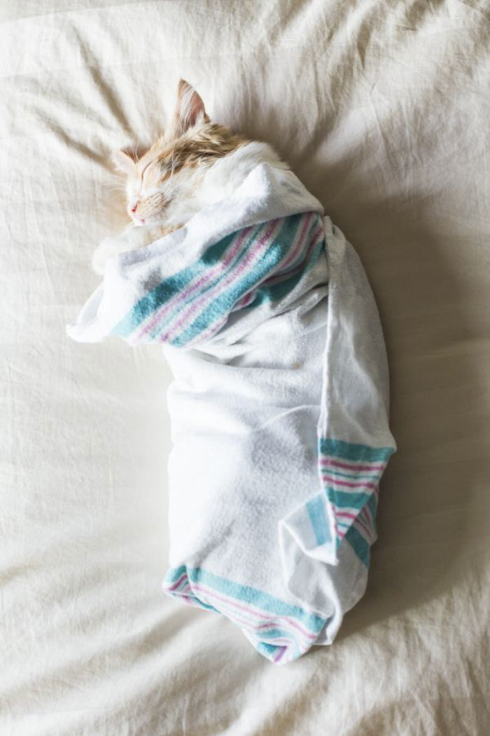 Couple's Birthing Photoshoot Goes Viral, And People Don't Know What To Think Couple's Birthing Photoshoot Goes Viral, And People Don't Know What To Think