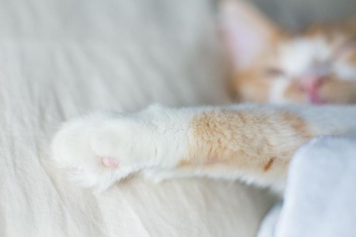 Couple's Birthing Photoshoot Goes Viral, And People Don't Know What To Think Couple's Birthing Photoshoot Goes Viral, And People Don't Know What To Think