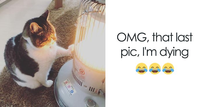 Hilarious Photos Of Cat Falling In Love With A Heater During Cold Weather Will Make Your Day