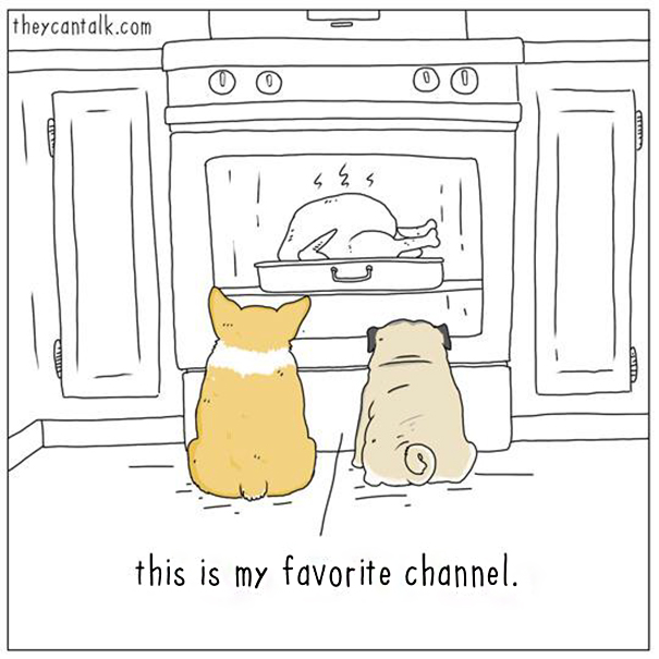 Cats-Dogs-Comics-They-Can-Talk-Jimmy-Craig