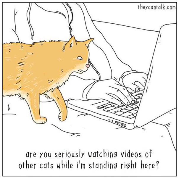 Cats-Dogs-Comics-They-Can-Talk-Jimmy-Craig