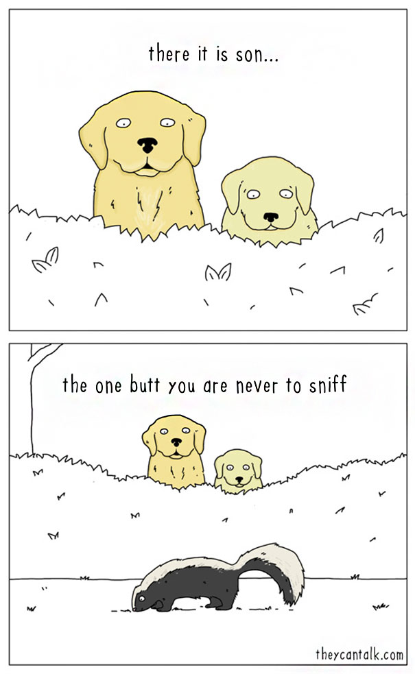 Cats-Dogs-Comics-They-Can-Talk-Jimmy-Craig