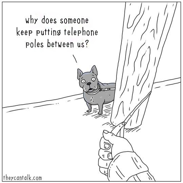 Cats-Dogs-Comics-They-Can-Talk-Jimmy-Craig