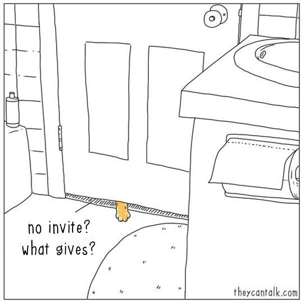 Cats-Dogs-Comics-They-Can-Talk-Jimmy-Craig