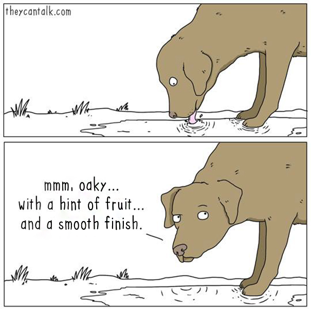 Cats-Dogs-Comics-They-Can-Talk-Jimmy-Craig