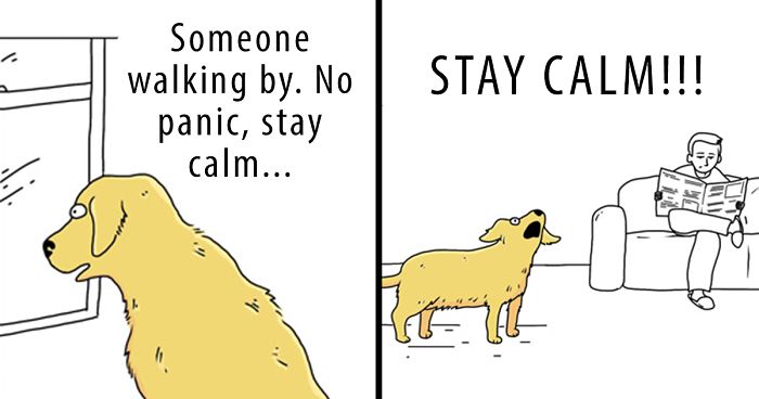 31 Differences Between Cats And Dogs That Are Impossible Not To Laugh At