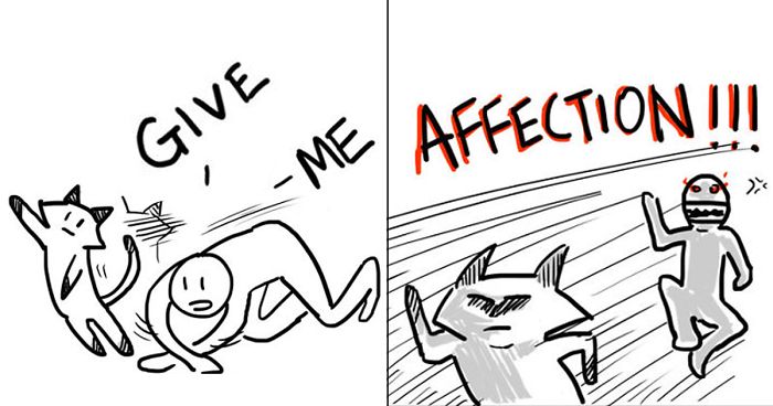 17 Hilarious Comics That Reveal The Reality Of Having A Cat