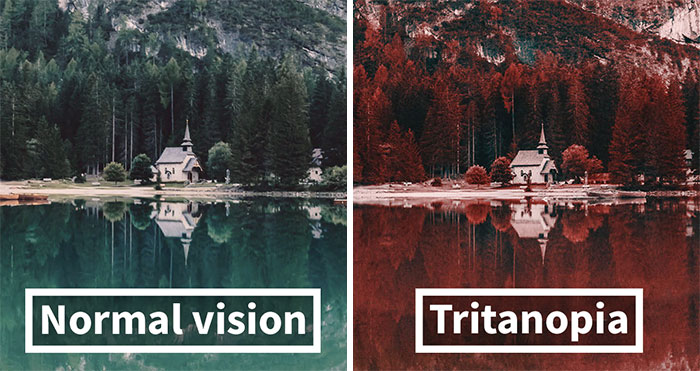 Here’s How Colorblind People With Tritanopia See The World
