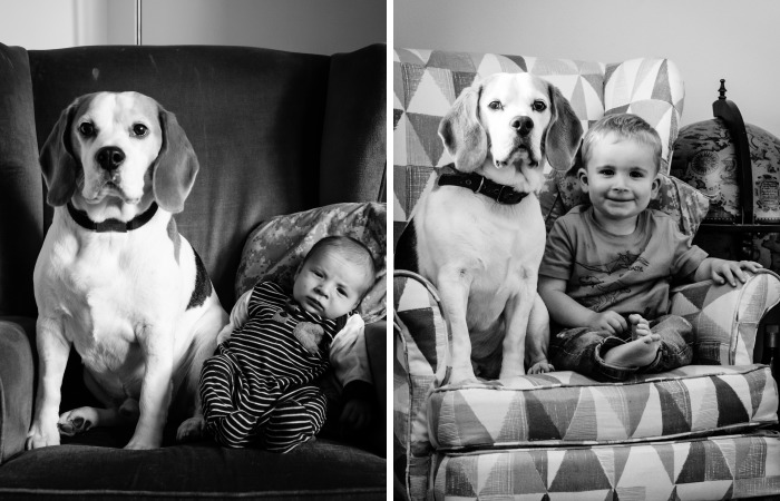 I’ve Taken A Picture Of My Son And Beagle Every Month For The Last Three Years In The Same Chair