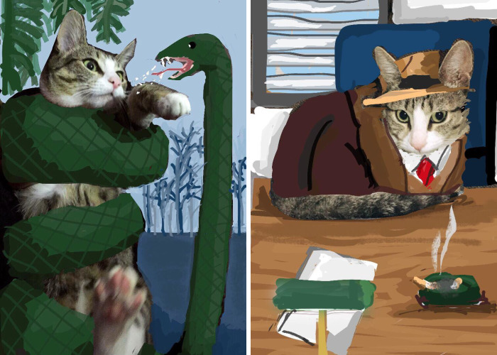 I Make Instastories With My Cat