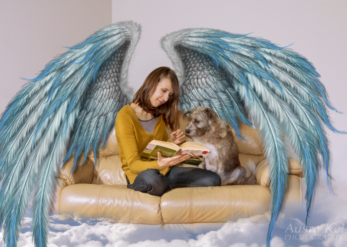 This Photographer Took Dogs From A Shelter And Created Another World For Them