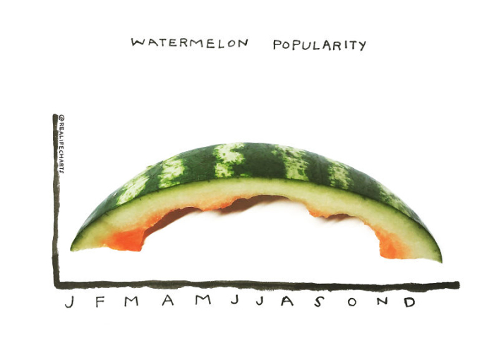 I Make Charts Out Of Everyday Objects