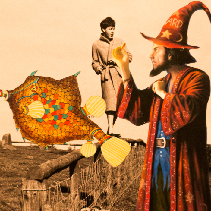 I Use Scissors, Paper And Glue To Understand The World