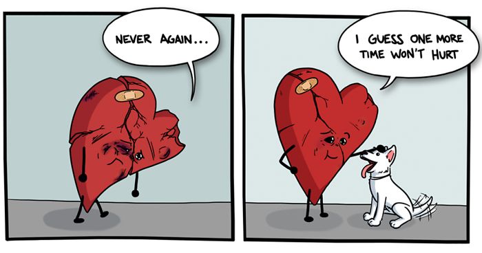 Comics About Making It Through Life