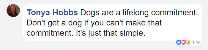 dog-rescued-note-collar-dunkin-donuts-11 dog-rescued-note-collar-dunkin-donuts-11