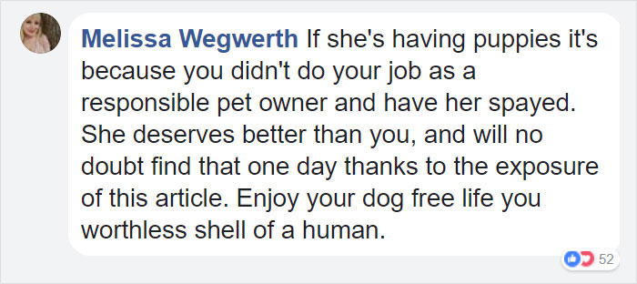 dog-rescued-note-collar-dunkin-donuts-14a dog-rescued-note-collar-dunkin-donuts-14a