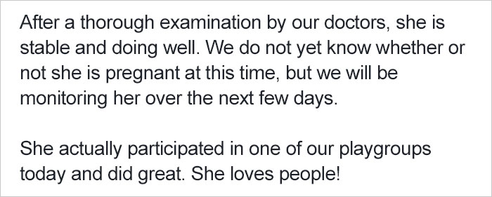 dog-rescued-note-collar-dunkin-donuts-7 dog-rescued-note-collar-dunkin-donuts-7