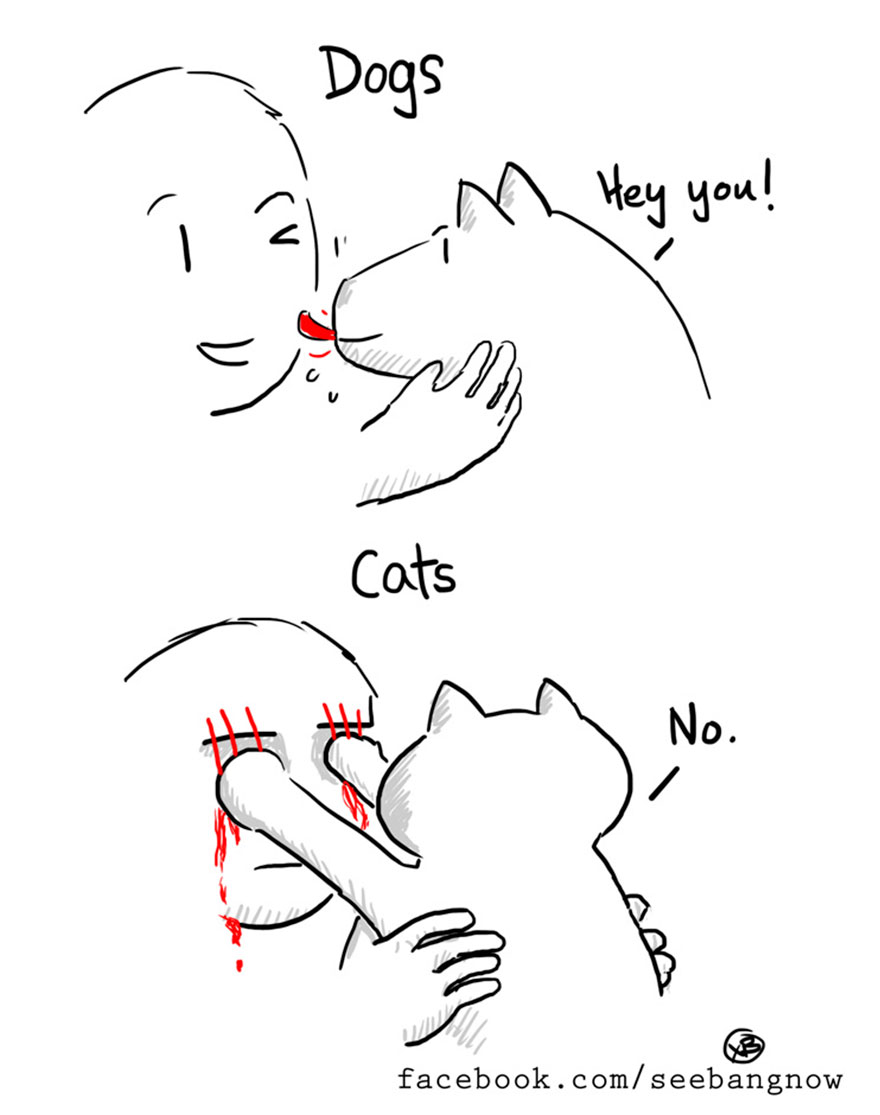 Cats Kidnapped Me And Made Me Draw Comics