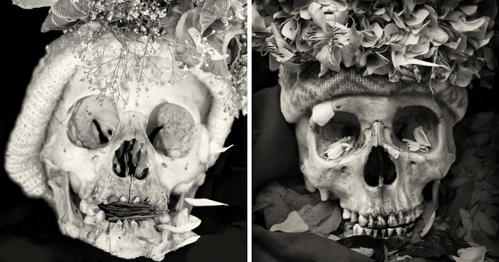 Human Skulls Portrayed In The General Cemetery Of The City Of La Paz, Bolivia