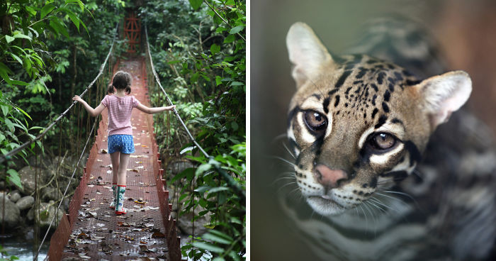 Why I’m Taking My 8 Year Old Daughter With Autism To The Forests Of The World