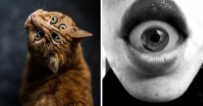 I Make Surreal And Dreamy Artworks That Explore Psychological Mindfalls (Part 2)