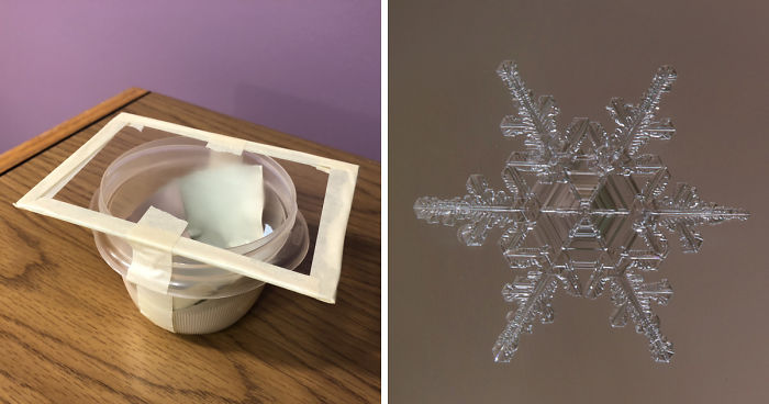 How To Photograph Macro Snowflakes At Home