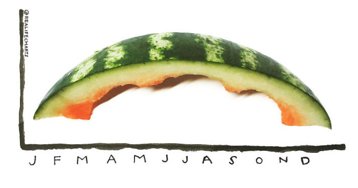 I Make Charts Out Of Everyday Objects