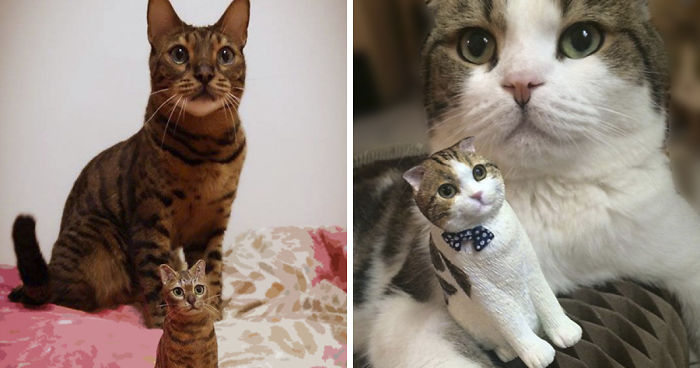I Hand-Sculpt People’s Cats To Immortalize Their Friendship