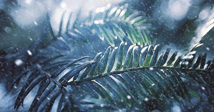 Hi I’m Grace And I Paint With My Camera