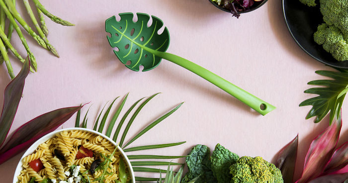 A New Kitchen Adventure Straight From The Jungle!