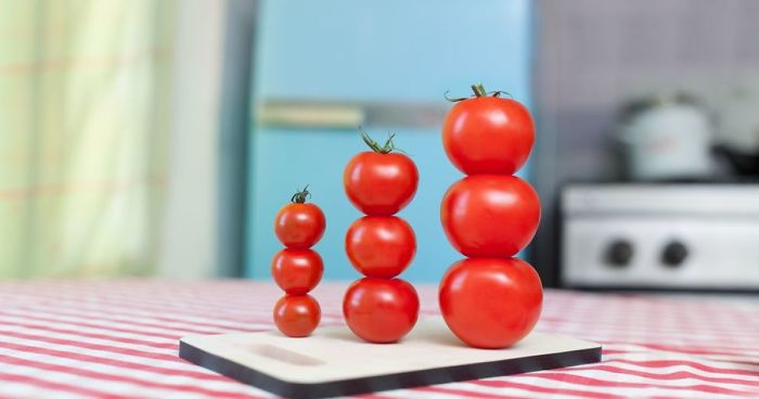 What Happens When You Lock Yourself In Your Apartment For 2 Weeks And Organize Everything You Own