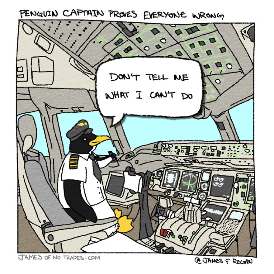 Comics About Making It Through Life