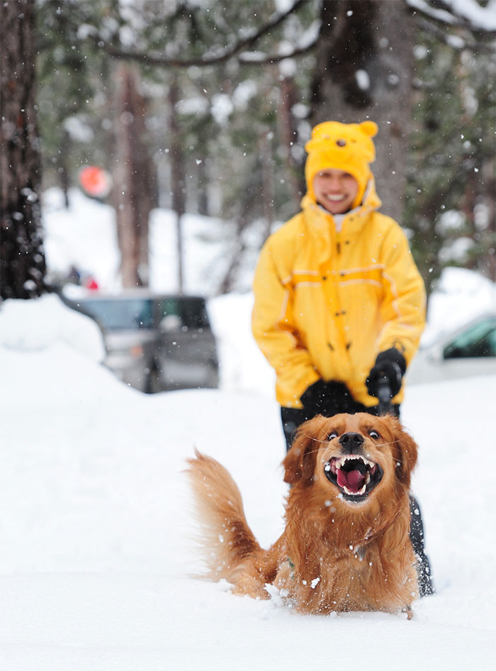 First Time Seeing Snow.. I Think He Liked It