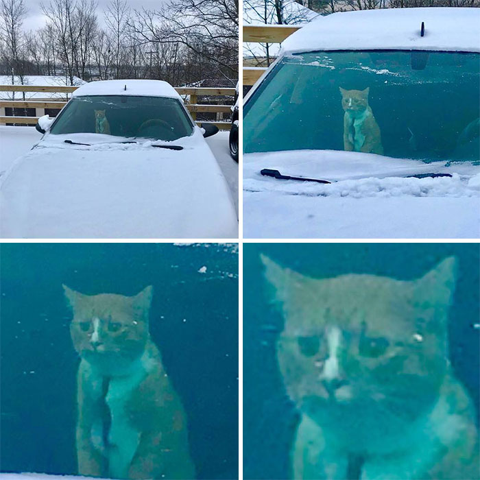 Ph, First Snow.. His Conviviality