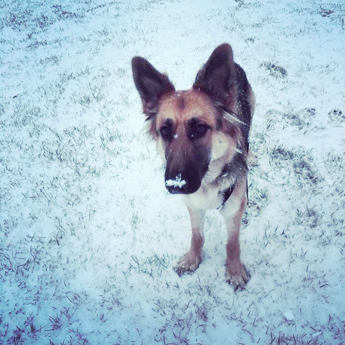 First Time In A Snow