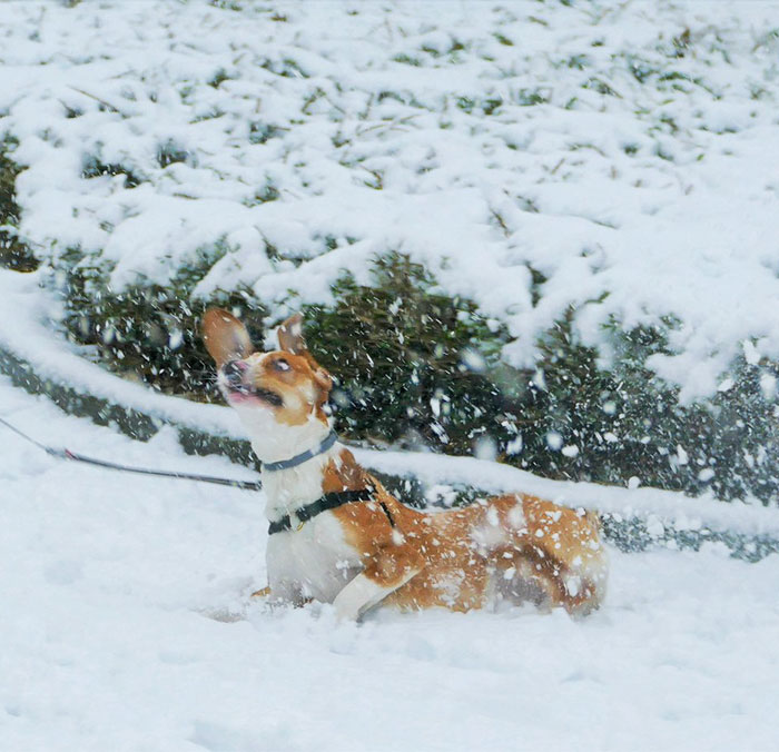 First Snow Experience