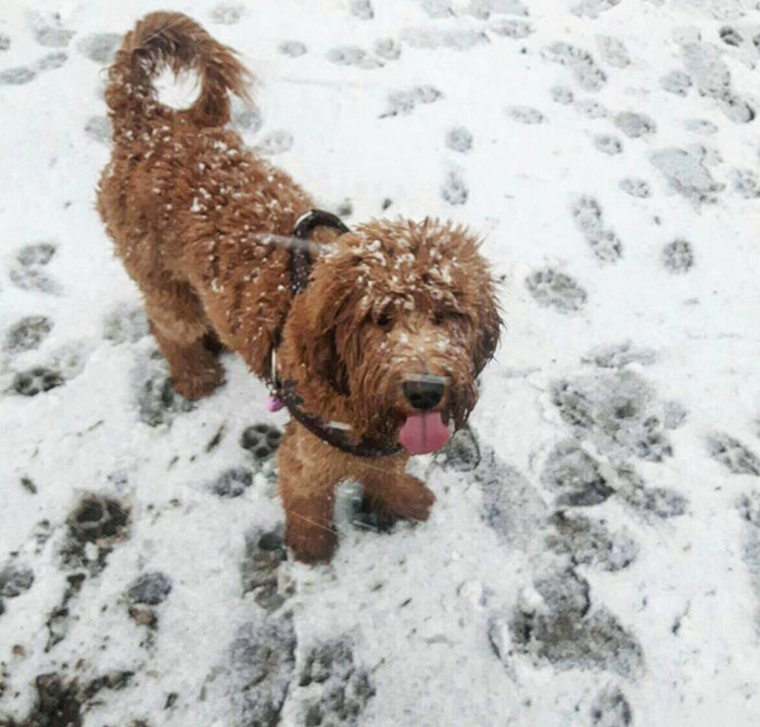 My First Adventure In The Snow