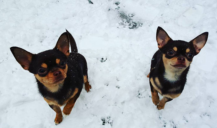 First Time Seeing A Snow