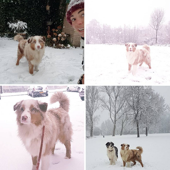 First Time Snow Ever! I Love This White, Fluffy Stuff